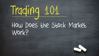 Trading 101 How Does the Stock Market Work [upl. by Ttennaj]