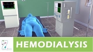 Hemodialysis [upl. by Waal]