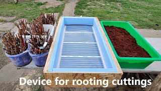 An Effective Method of Rooting Grape Cuttings [upl. by Diaz]