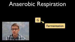 Anaerobic Respiration [upl. by Miun]