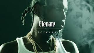 Popcaan  Elevate Official Audio [upl. by Miculek819]