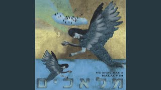 Hashem Sfatai [upl. by Brendis]