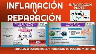 INFLAMACIÓN Y REPARACIÓN PATOLOGÍA ROBBINS  GuiaMed [upl. by Cortie]