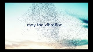 Emiliano Toso 432Hz Videoclip from Love Seeds Music for cells nature connection healing [upl. by Sheree175]