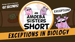 Biology and Its Fascinating Exceptions  Amoeba Sisters Shorts [upl. by Kerril992]