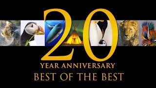 Best of the Best 20 Years of Natures Best Photography [upl. by Lexis463]