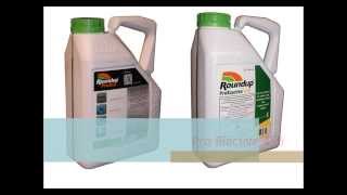 Using Roundup Weed Killer [upl. by Marb]