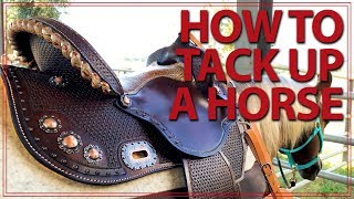 How to Saddle a Horse Western Style  Jeffers Equine [upl. by Fanchette145]