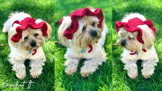 Crochet DogCat bucket hat  Small  Full tutorial  Check the description box for more detail [upl. by Yborian655]