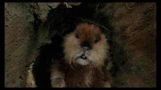 Funny Movie Scene in Caddyshack greasy grimey gopher guts [upl. by Yael554]