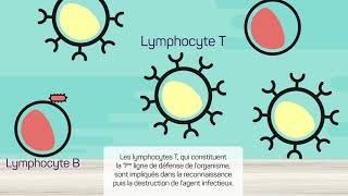 Le système immunitaire [upl. by Adlih]