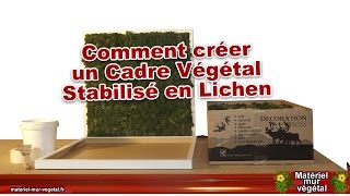 Comment créer un cadre végétal stabilisé en lichen Matériel Mur Végétal® [upl. by Moffit]