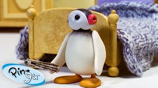 All About Pinga 🐧  Pingu  Official Channel  Cartoons For Kids [upl. by Kensell]