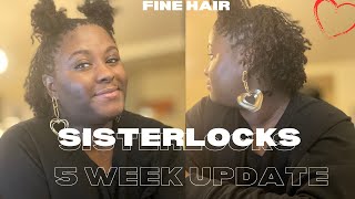 Sisterlocks on Fine Hair  5 Week Update New Growth First Wash and Retie [upl. by Anigar]