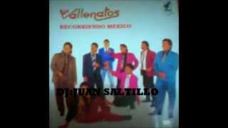 LOS VALLENATOS DE LA CUMBIA SUS EXITOS PRENDIDOS [upl. by Luise]