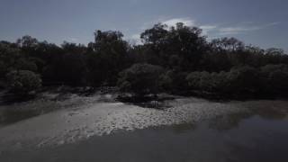 Poverty Creek Bribie Island [upl. by Vivyanne]