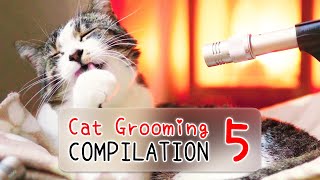 3 HOURS 🎧 ASMR Cat Grooming Compilation Vol 5  Curry Sugar Meow [upl. by Ashatan]