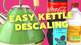 How To Clean amp Descale A Kettle WEIRD Methods [upl. by Alli345]