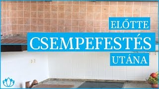 CSEMPEFESTÉS kezdőknek  a konyha [upl. by Garnett]