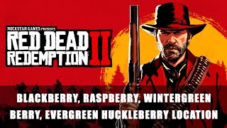 Red Dead Redemption 2 Blackberry Raspberry Wintergreen Berry and Evergreen Huckleberry Location [upl. by Ahsiela]