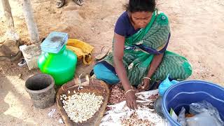 Cashew nut Processing  Cashew nut  Roasting Cashew nut  Cashew nut Processing india [upl. by Atte471]