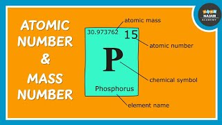 Atomic Number and Mass Number  Chemistry [upl. by Jewel]