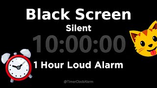 Black Screen 🖥 10 Hour Timer Silent 1 Hour Loud Alarm  Sleep and Relaxation [upl. by Fini]