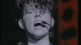 Thompson Twins  Hold me now  No peace for the wicked Live  1984 [upl. by Reibaj]