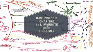 Immunologie chapitre 1  limmunite inée resume [upl. by Ylicic]