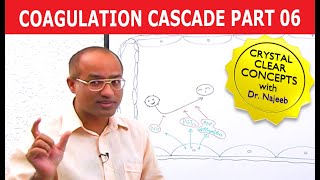 Coagulation Cascade  Part 612 [upl. by Jared]