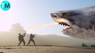 LOS 10 TIBURONES MÁS GRANDES Del Mundo y De La Historia [upl. by Si702]