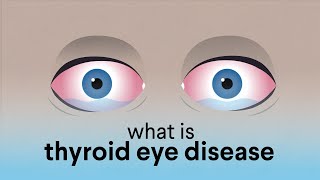 Anatomy Of Conjunctiva 12 [upl. by Alyssa]