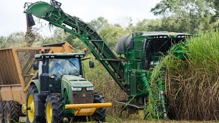 John Deere CH570 Sugarcane Harvester [upl. by Llehcear5]