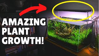 The Secret to Amazing Plant Growth  Twinstar LED Light Unboxing [upl. by Ewan317]