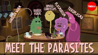 How brain parasites change their hosts behavior  Jaap de Roode [upl. by Jennilee]