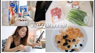 DAILY ROUTINE 🇰🇷  WHAT I EAT IN A DAY  Erna Limdaugh [upl. by Pollard]