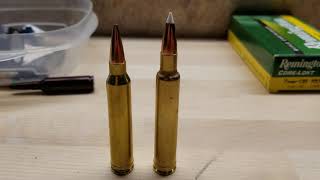 300 Winchester Mag vs 300 Weatherby Mag [upl. by Chladek]