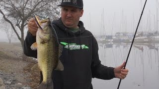 Bass Fishing Tips for Bank Anglers [upl. by Punke]