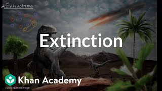 The Day the Mesozoic Died The Asteroid That Killed the Dinosaurs — HHMI BioInteractive Video [upl. by Lepley]