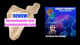 Sternoclavicular SC amp Acromioclavicular AC Joints REVIEW [upl. by Clercq]