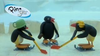 Pingu Pingu Plays Hockey [upl. by Lorenz]