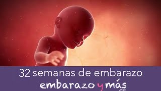 32 semanas de embarazo  Octavo mes  EMBARAZOYMAS [upl. by Nagam950]