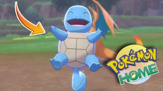 Getting Squirtle In Pokemon Sword and Shield [upl. by Oirazan509]