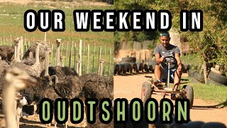 WHAT TO SEE AND DO IN OUDTSHOORN [upl. by Dode]