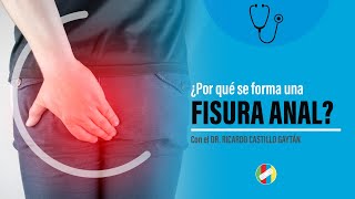 ¿POR QUÉ SE FORMA UNA FISURA ANAL [upl. by Uyerta286]