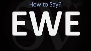 How to Pronounce Ewe CORRECTLY [upl. by Thebault]