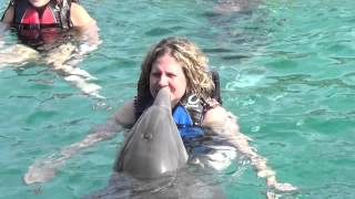 Blue Lagoon Bahamas Dolphin Swim June 2015 [upl. by Naynek]