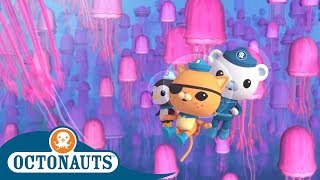 Octonauts  The Pink Jungle  Cartoons for Kids [upl. by Gladdie]