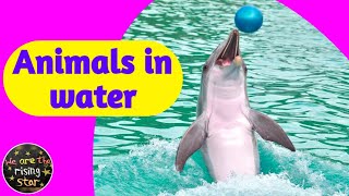 Animals in water  Water Animals with live examples  WATRstar [upl. by Niple]