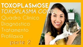 Toxoplasmose toxoplasma gondii  Parte 2  PARASITOLOGIA 4 [upl. by Nyliram]